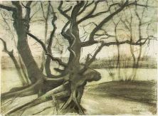 Haga click para ver la imagen ampliada 1882 etude d'un arbre.jpg